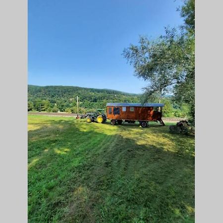 Autarkes Tiny House Mit Rheinblick Leilighet Rumikon Eksteriør bilde