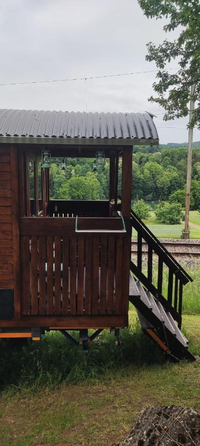 Autarkes Tiny House Mit Rheinblick Leilighet Rumikon Eksteriør bilde