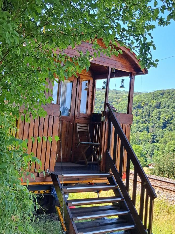 Autarkes Tiny House Mit Rheinblick Leilighet Rumikon Eksteriør bilde